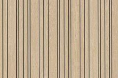 501390457_1271563974975470_5762228325555977993_n