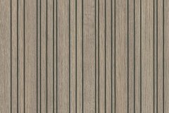 501476143_1271563978308803_6608881418066072222_n