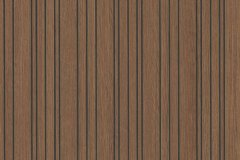 501596718_1271563981642136_4227251176204855460_n