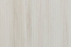 506315888_1286709050127629_4197643032123125591_n