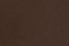 518322494_1315454483919752_754699475923028416_n