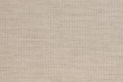 534730117_1343547657777101_6652857591224119428_n