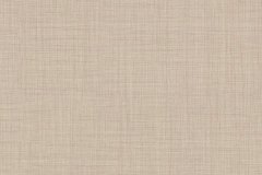 534995834_1343547644443769_3302393594184445548_n