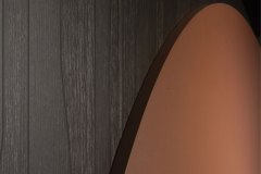 547307250_1369115998553600_263771993477082466_n