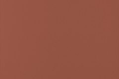 547832279_1369123471886186_8882831538182660410_n