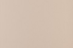 548127157_1369123475219519_9016097832424037576_n