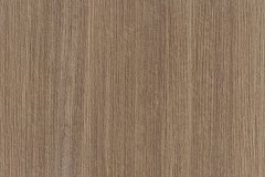 555087276_1382615133870353_8340927328808588153_n