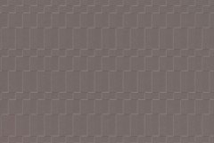 558170213_1389619686503231_4693734682455480904_n