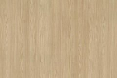 559559947_1395995882532278_9027038218181213169_n