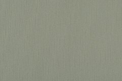 438086675_929747865823751_6238964677058380250_n
