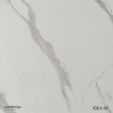 457136899_1027285172736686_3173285748161582884_n