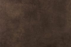 485306948_1201997711932097_4919580770341007257_n