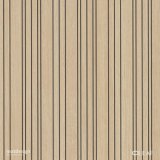 501390457_1271563974975470_5762228325555977993_n