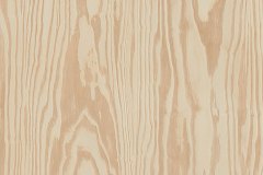 651817866_1537381158393749_6671264118759732639_n