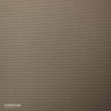784327161_1691690182962845_3057952903642616973_n