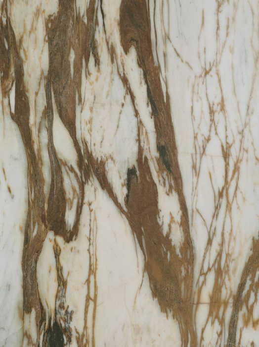 Fiocco D045